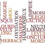 Vocabulaire du vin de H à O