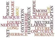 Vocabulaire du vin de H à O