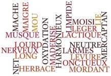 Vocabulaire du vin de H à O