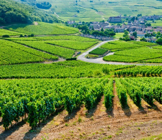 Vin de célébrités