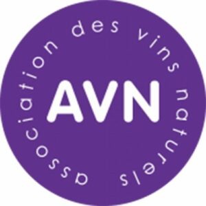 AVN logo