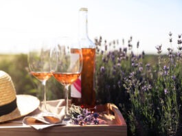 10 bons vins de Provence à moins de 20€