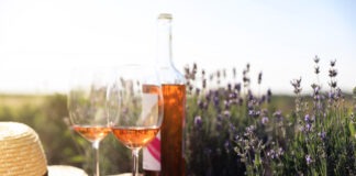 10 bons vins de Provence à moins de 20€