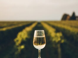 10 bons vins de Bourgogne à moins de 20€