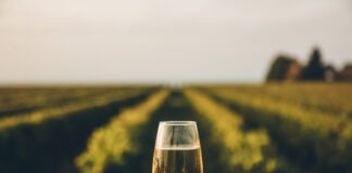 10 bons vins de Bourgogne à moins de 20€