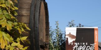 Domaine Agapé vin bio alsacien