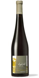 Pinot noir alsace