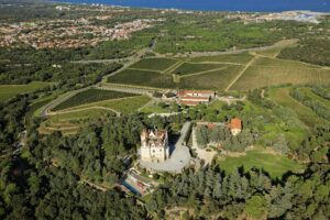 Château Valmy Vignoble