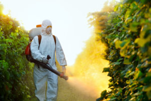 pesticides vigne raisin