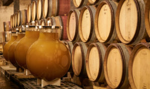 wine globe paetzold vinification en cuve en verre