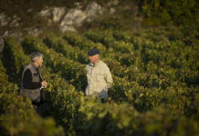 domaine de la romanee conti