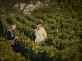 domaine de la romanee conti