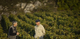 domaine de la romanee conti