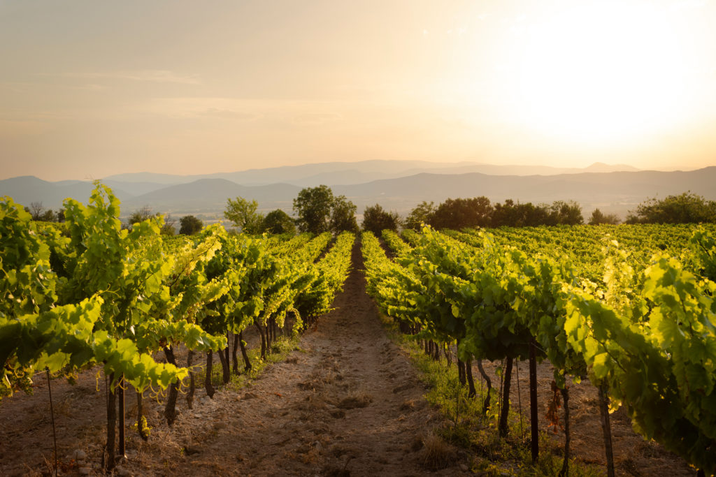 10 bons vins du Beaujolais à moins de 20 €