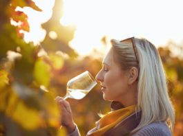 10 bons vins du Languedoc-Roussillon à moins de 20 €