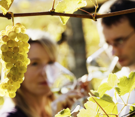 Est-ce que le goût du vin bio est-il différent ?