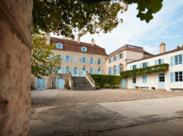L’art de la biodynamie au Domaine de l’Arlot
