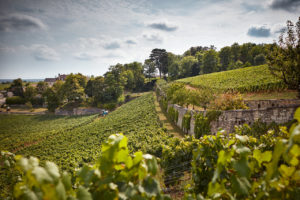 domaine de l'arlot vin bourgogne