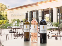 domaine fontainebleau vin