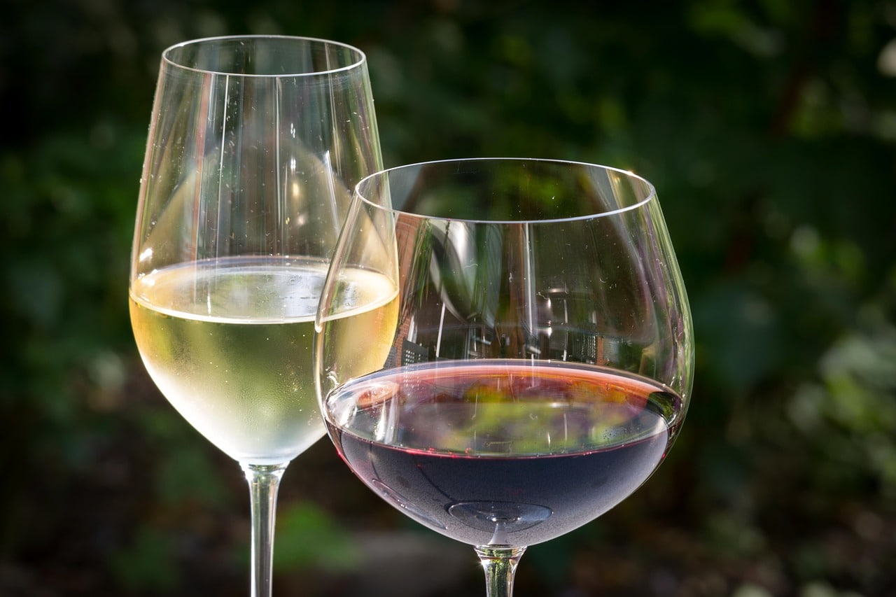 Du rouge au blanc : les verres à vin pour votre dégustation
