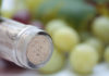 Démystifier les bouchons de vin : quel choix pour votre bouteille ?