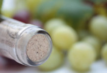 Démystifier les bouchons de vin : quel choix pour votre bouteille ?