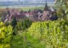 Domaine Marcel Deiss alsace