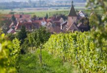 Domaine Marcel Deiss alsace