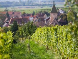 Domaine Marcel Deiss alsace
