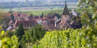 Domaine Marcel Deiss alsace