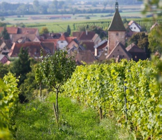 Domaine Marcel Deiss alsace