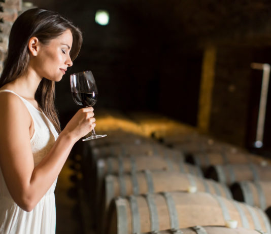 10 bons vins de Savoie-Bugey à moins de 20 €