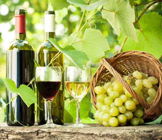 vins naturels rouges blancs