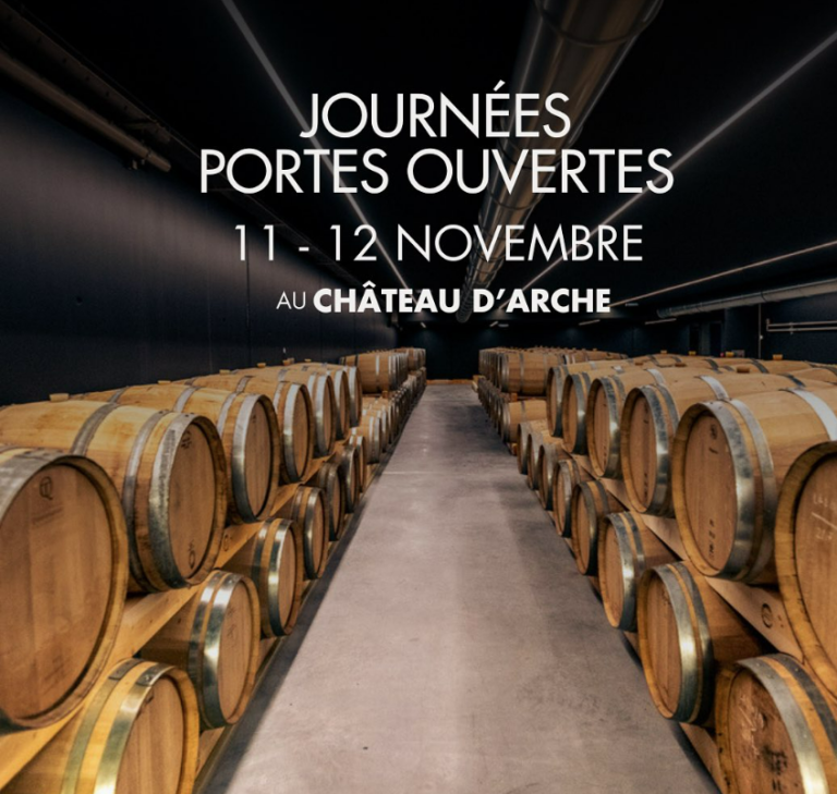 Chateau dArche PO 768x729