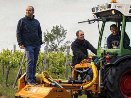 vignerons dumnacus