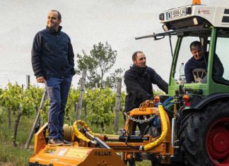vignerons dumnacus