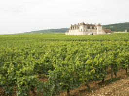 vin italien pas cher