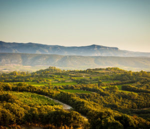 vin Languedoc Roussillon