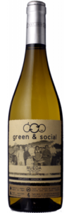 Green & Social Organic Verdejo 2022 Cuatro Rayas