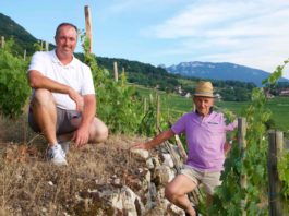 vin savoyard dupasquier