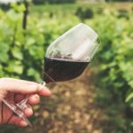 apprendre à aimer le vin rouge