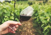 apprendre à aimer le vin rouge