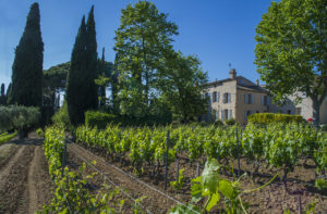 tempier domaine viticulture