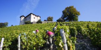 Domaine Jean Perrier et Fils