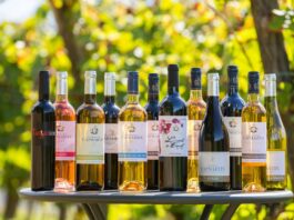 domaine capmartin sud ouest vin biologique