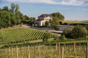 domaine viticole agriculture biologique sud ouest