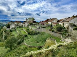 Œnotourisme en Bourgogne