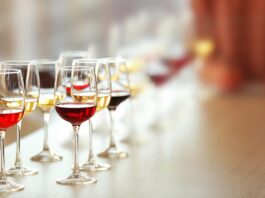 Dégustation débutante de vin