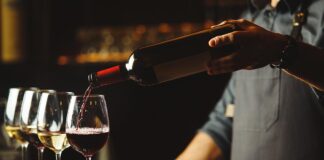 Meilleurs vins 2024