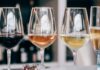 Pourquoi les français préfèrent-ils les vins blancs et rosés ?